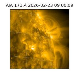 saia - 2026-02-23T09:00:09.350000