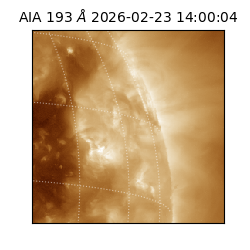 saia - 2026-02-23T14:00:04.843000