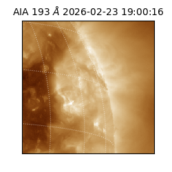 saia - 2026-02-23T19:00:16.843000