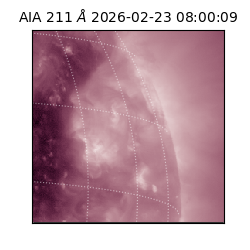 saia - 2026-02-23T08:00:09.618000