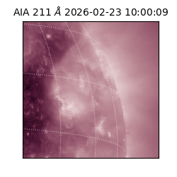 saia - 2026-02-23T10:00:09.626000