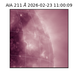 saia - 2026-02-23T11:00:09.630000