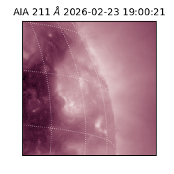 saia - 2026-02-23T19:00:21.626000