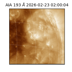 saia - 2026-02-23T02:00:04.838000