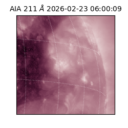 saia - 2026-02-23T06:00:09.626000