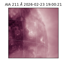 saia - 2026-02-23T19:00:21.626000