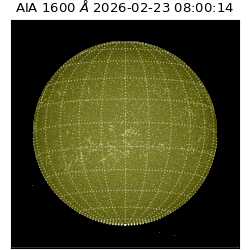 saia - 2026-02-23T08:00:14.118000