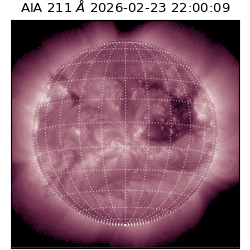 saia - 2026-02-23T22:00:09.626000