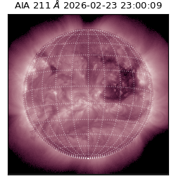 saia - 2026-02-23T23:00:09.618000