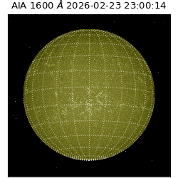 saia - 2026-02-23T23:00:14.117000