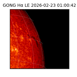 gong - 2026-02-23T01:00:42