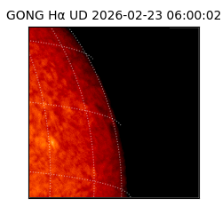 gong - 2026-02-23T06:00:02