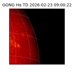 gong - 2026-02-23T09:00:22