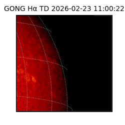 gong - 2026-02-23T11:00:22