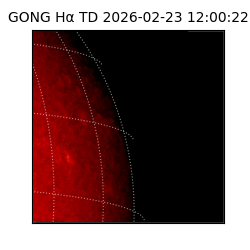 gong - 2026-02-23T12:00:22