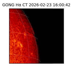gong - 2026-02-23T16:00:42