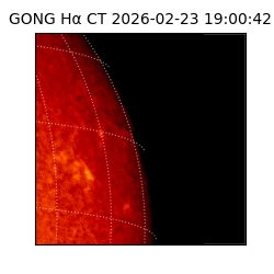 gong - 2026-02-23T19:00:42