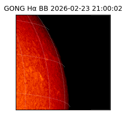 gong - 2026-02-23T21:00:02