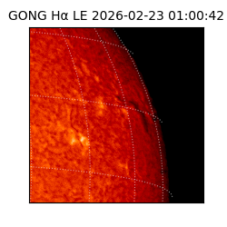 gong - 2026-02-23T01:00:42
