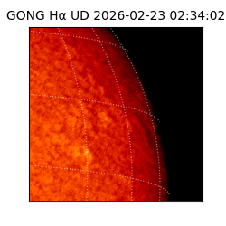 gong - 2026-02-23T02:34:02
