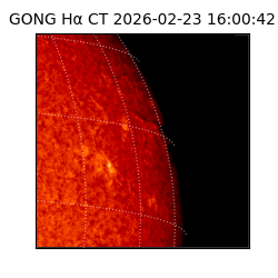gong - 2026-02-23T16:00:42