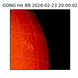 gong - 2026-02-23T20:00:02
