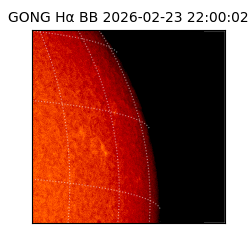 gong - 2026-02-23T22:00:02