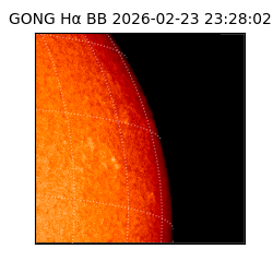 gong - 2026-02-23T23:28:02