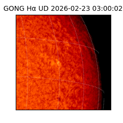 gong - 2026-02-23T03:00:02