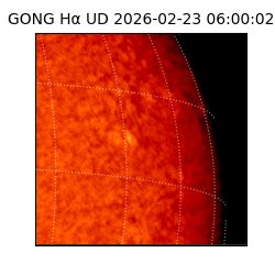 gong - 2026-02-23T06:00:02