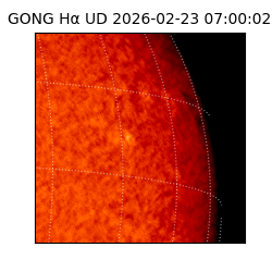 gong - 2026-02-23T07:00:02