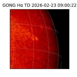 gong - 2026-02-23T09:00:22