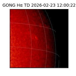 gong - 2026-02-23T12:00:22