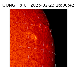 gong - 2026-02-23T16:00:42