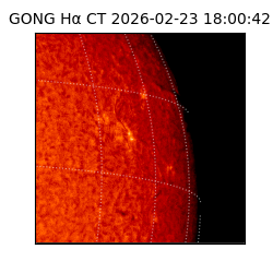 gong - 2026-02-23T18:00:42