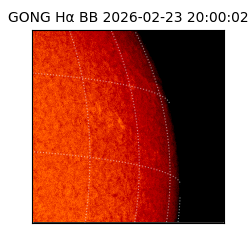 gong - 2026-02-23T20:00:02