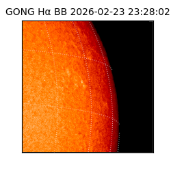 gong - 2026-02-23T23:28:02