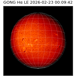 gong - 2026-02-23T00:09:42