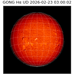gong - 2026-02-23T03:00:02