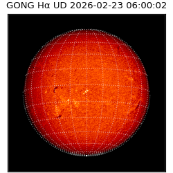 gong - 2026-02-23T06:00:02