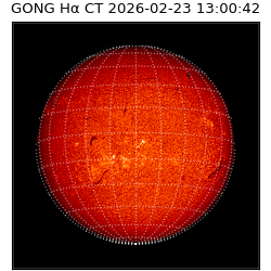 gong - 2026-02-23T13:00:42