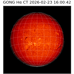 gong - 2026-02-23T16:00:42