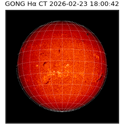 gong - 2026-02-23T18:00:42