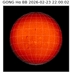 gong - 2026-02-23T22:00:02