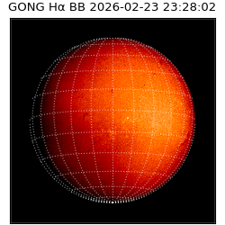 gong - 2026-02-23T23:28:02