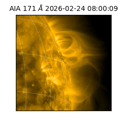 saia - 2026-02-24T08:00:09.350000