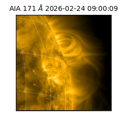 saia - 2026-02-24T09:00:09.350000