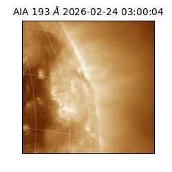 saia - 2026-02-24T03:00:04.835000