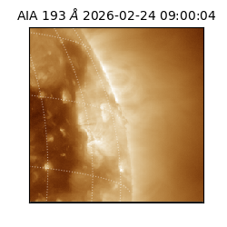 saia - 2026-02-24T09:00:04.844000