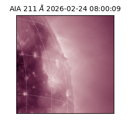 saia - 2026-02-24T08:00:09.629000